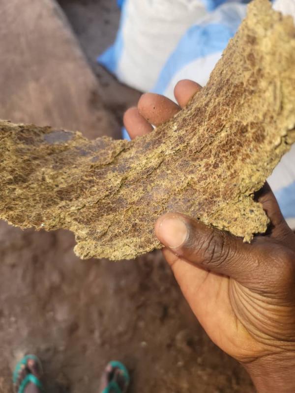  Tourteau De Coton Aliments Betails - aliments pour animaux nous sommes une entreprise agro industrielle. notre usine produit de l aliments pour betails notamment du tourteau de coton &agrave; korhogo (nord cote d ivoire) et nous fournissons &eacute;galement &agrave; nos clients du son de bl&eacute; sogobalo pro maïs tourteau de palmistes tourteaux de 