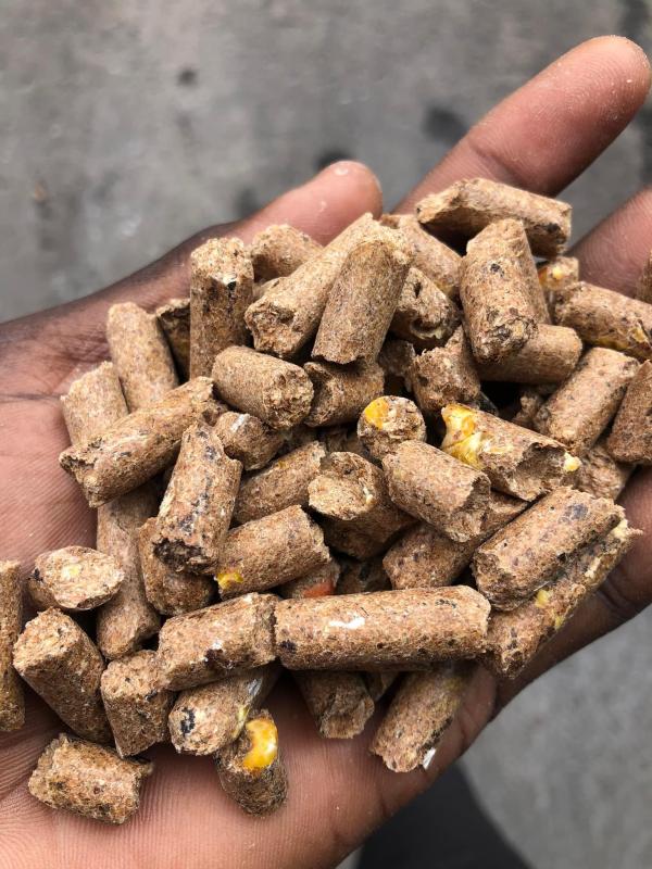  Sogobalo Pro Pellettes Son De Ble Etc. - aliments pour animaux pour le besoin de vos animaux en cette p&eacute;riode s&egrave;che notre soci&eacute;t&eacute; bas&eacute;e &agrave; korhogo en c&ocirc;te d’ivoire vous offre en grandes quantit&eacute;s des aliments betails tels que le sogobalo pro le son de bl&eacute; le maïs l’aliment b&eacute;tail de cotraf