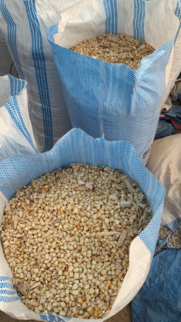  Maïs Secs Blanc Et Rouge - fruits secs et graines grillées pour votre besoin en maïs secs de grande quantit&eacute; pour soit votre propre consommation ou celle de vos animaux notre entreprise agroalimentaire bas&eacute;e en cote d ivoire et pr&eacute;cis&eacute;ment &agrave; korhogo est &agrave; votre disposition. le maïs est conditionn&eacute; dans des