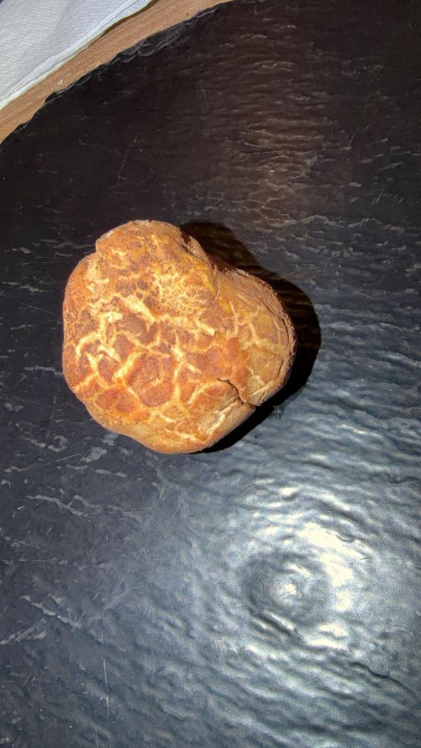  Truffe - champignon levure  je suis fournisseur en alg&eacute;rie de truffe blanche et je voudrais avoir un partenaire pour faire l'exportations.