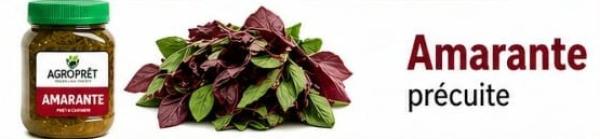  Feuilles D'amarante, Biteku Teku, Conserves - fruits et légumes conserve de feuilles de legumes biteku teku feuilles d'amarante conserve de feuilles de legumes africains de feuilles de matembele de saka saka feuilles de manioc feuilles de bissap feuilles de dah feuilles de d'oseille de guinee feuilles de dah feuilles de d'oseille de guinee