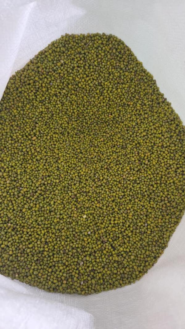  Haricot Mungo - fruits et légumes nous sommes ravis de vous annoncer une opportunit&eacute; unique de d&eacute;couvrir nos haricots mungo d'une qualit&eacute; exceptionnelle fra&icirc;chement r&eacute;colt&eacute;s au turkm&eacute;nistan. cette collaboration align&eacute;e avec nos priorit&eacute;s de durabilit&eacute; et d'excelle