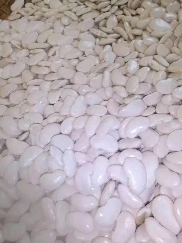  Poids Du Cap - fruits secs et graines grillées nous sommes une exportateur des proy bas&eacute; &agrave; madagascar et actuellement cherche clients pour acheter poids du caps 