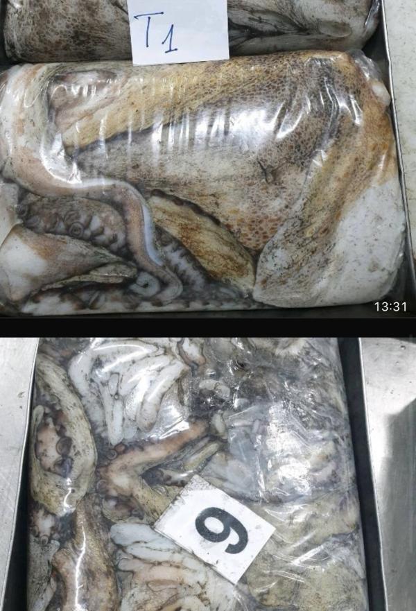  Offre Produits Mer Mauritanie/maroc/senegal - poissons  nous sommes fournisseurs de produits de la mer en provenance de mauritanie / s&eacute;n&eacute;gal / maroc. nous recherchons &agrave; &eacute;tablir des partenariats &agrave; long terme avec des acheteurs fiables. nous proposons une qualit&eacute; constante et des prix comp&eacute;tit