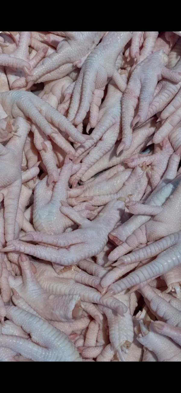  Les Pattes De Poulet - viandes et oeufs  je peux vous fournir en grande quantit&eacute;. cat&eacute;gorie a pattes de poulet congel&eacute;es longueur 8 10 cm poids 30 35 g proc&eacute;d&eacute; de cong&eacute;lation iqf (surg&eacute;lation individuelle rapide) aspect du produit 100 % frais et congel&eacute; peau sans jaunissemen
