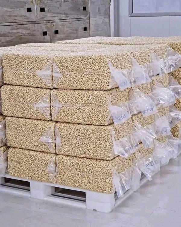  Offre Export Amandes De Cajou 2026 - fruits secs et graines grillées  offre export – amandes de cajou 2026 (ww & brokens) – afrique de l’ouest nous proposons des amandes de cajou (kernels) de haute qualit&eacute; origine burkina faso et c&ocirc;te d’ivoire disponibles selon calibres et volumes. approvisionnement fiable – production 2026 – adapt&eacute; aux