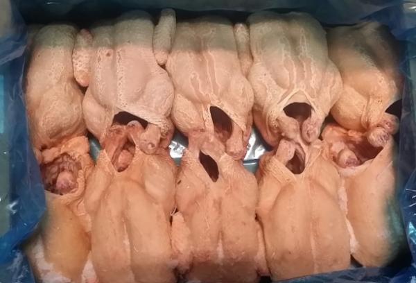  Poulets Entiers Rotir Congeles - épices aromates production italienne direct producteur nous avons en stocks plusieurs camions de poulets pour r&ocirc;tisserie disponibles voici les poids disponibles 900 gr &agrave; chair jaune > environ 11 000 kg > production &agrave; partir d'ao&ucirc;t 2025 date de p&eacute;remption &agrave; partir