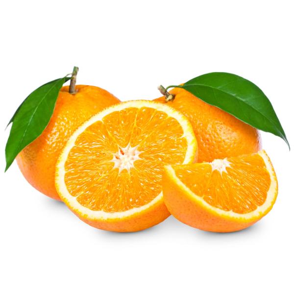  Oranges Direct Producteur Maroc - fruits et légumes oranges direct producteur maroc disponibles avec tous les certificats pour export vers l'europe les autres pays africains le moyen orient etc 