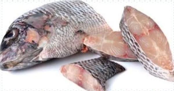 Darnes De Tilapia Noir - poissons darnes de tilapia noir nous pouvons vous fournir des darnes de tilapia. nous cherchons des partenaires pour la mise en place d'un r&eacute;seau de distribution de poissons sur le plan international. ci dessous les poissons que nous vous proposons . 01. poisson darnes tilapia 02. pois