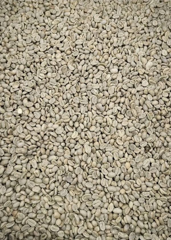 Café Robuska - café cacao thé entreprise guin&eacute;enne cr&eacute;&eacute; le 23 octobre 2025 en guin&eacute;e conakry. &eacute;voluant dans le secteur de la vente en gros des produits agro alimentaire les caf&eacute;s robusca vert les noix de acajoux etc