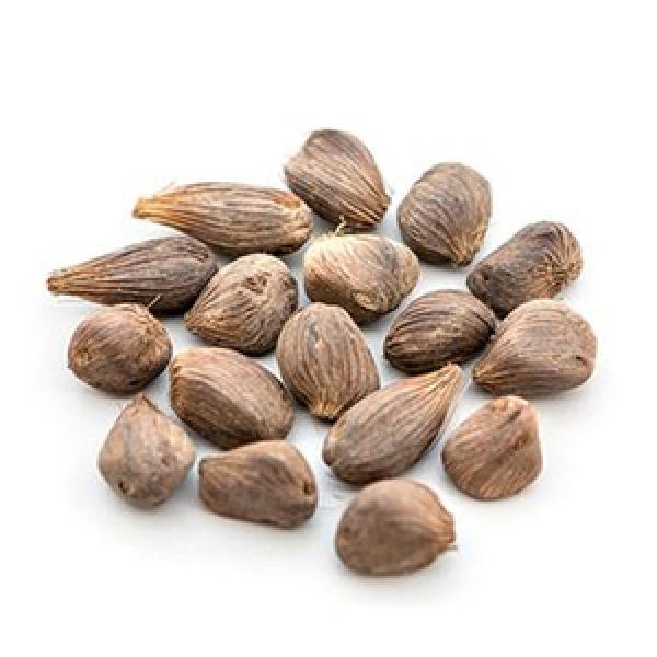  Noix De Palmiste Tonnes Sur Cotonou - matiere vegetale disponible imm&eacute;diatement &agrave; cotonou 4 tonnes de noix de palmiste de premier choix. produit id&eacute;al pour extraction d'huile de palmiste. utilisation des coques comme combustible biomasse. fabrication de tourteaux pour l'alimentation animale. stock stock&eacute; dans de bonn