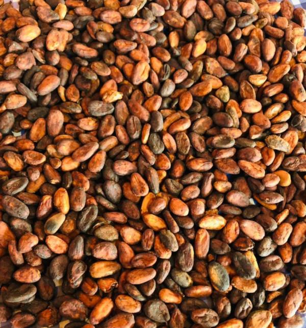  Cacao/café/vanille - café cacao thé nous sommes une soci&eacute;t&eacute; malgache sp&eacute;cialis&eacute;e dans l'exportation de cacao caf&eacute; et vanille bourbon de madagascar. nos produits issus des meilleurs terroirs de l'&icirc;le se distinguent par leur qualit&eacute; premium leur tra&ccedil;abilit&eacute; totale et leur