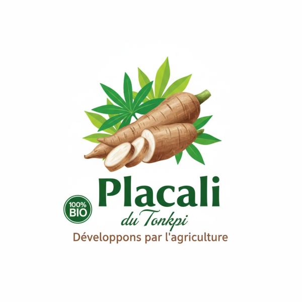  Vente De Placali Frais Déshydraté - autres nous sommes une association agricole de femmes productrices de manioc &agrave; danane dans l'ouest de la c&ocirc;te d'ivoire nous avons une unit&eacute; de transformation de manioc en p&acirc;te d&eacute;shydrat&eacute; commun&eacute;ment appel&eacute; placali. nous conditionnons dans les paquets