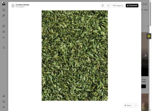  Plantes Séchées De Madagascar Moringa, Ravi - matiere vegetale nous proposons des plantes s&eacute;ch&eacute;es d'origine madagascar r&eacute;colt&eacute;es et s&eacute;ch&eacute;es naturellement disponibles en conventionnel et bio selon les vari&eacute;t&eacute;s. produits disponibles moringa oleifera (feuilles s&eacute;ch&eacute;es en poudre ou enti&egrav