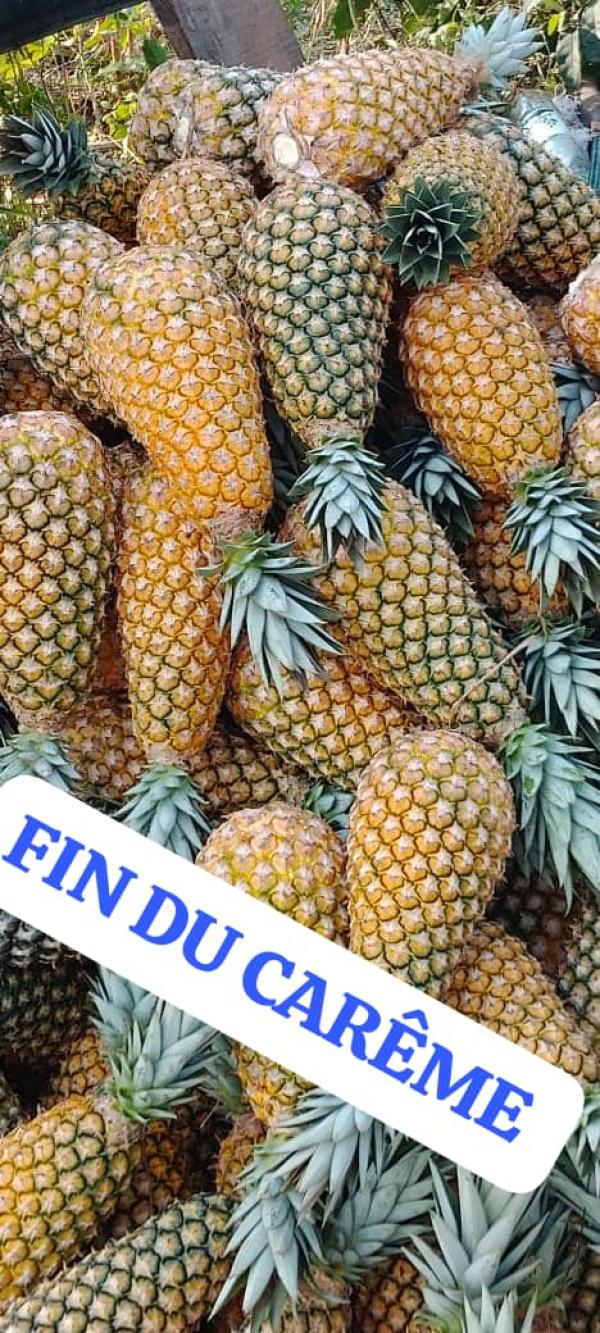  Ananas - fruits et légumes je suis un producteur d'ananas de pains de sucre au b&eacute;nin et je veux des clients et des entreprises pour la livraison de mes produits 