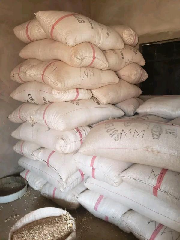  Les Sac Maïs - céréales votre partenaire fiable en approvisionnement bas&eacute; dans le nord du b&eacute;nin je mets &agrave; votre disposition du maïs de qualit&eacute; sup&eacute;rieure en grande quantit&eacute; sp&eacute;cialement destin&eacute; aux grossistes commer&ccedil;ants et transformateurs. ✔ produits bien