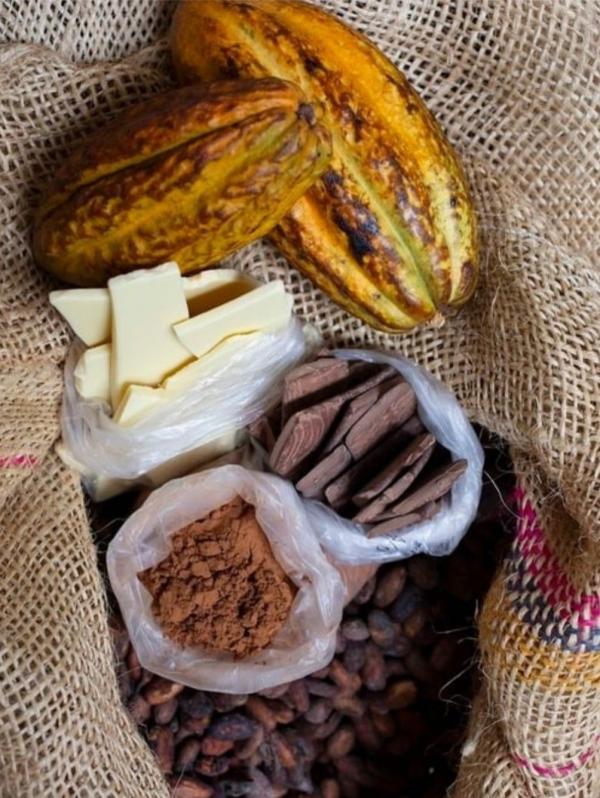  Cacao D'origine Équateur - café cacao thé nous sommes une entreprise espagnole et nous sommes producteurs de cacao d'origine &eacute;quateur. nous transformons et pr&eacute;parons les f&egrave;ves de cacao dans nos installations en &eacute;quateur. nous fournissons de la p&acirc;te de cacao de la poudre de cacao du beurre de cacao et des