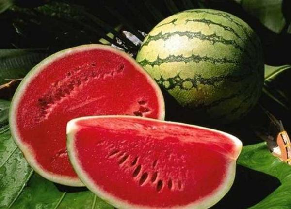  Pastèque - fruits et légumes je suis &agrave; la recherche de partenaires ou d’investisseurs dans le domaine agricole. je dispose actuellement d’un terrain agricole am&eacute;nag&eacute; d’une superficie de 20 hectares adapt&eacute; &agrave; la culture de la past&egrave;que (past&egrave;que). le terrain est pret &agrave; l’exp