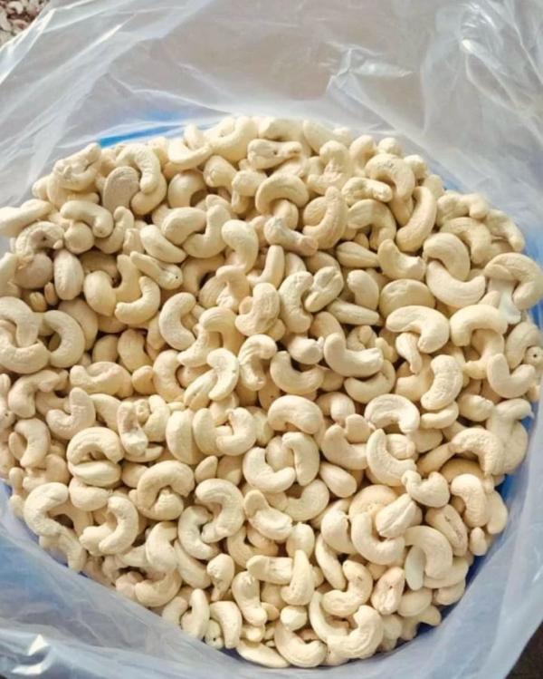  Noix De Cajou/ Amandes De Cajou - fruits secs et graines grillées nous pouvons fournir des amandes de cajou w240 et w320 avec toutes les certifications requises a des prix comp&eacute;titif livr&eacute;s directement au port de votre choix. [&eacute;chantillon disponible] de meme que les noix de cajou en coques et aussi les graines de roucou s&eacute;ch&eacute;es.