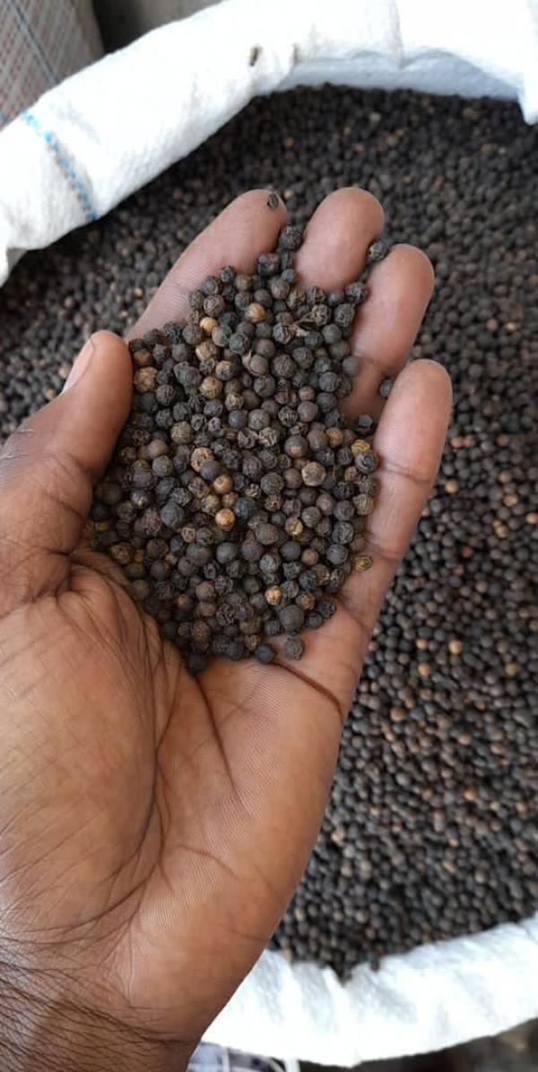  Fournisseur De Poivre - épices aromates  nous avons &agrave; disposition une grande quantit&eacute; de poivre noir 570/580 gros grain. pour toutes demandes n’h&eacute;sitez pas &agrave; nous contacter.