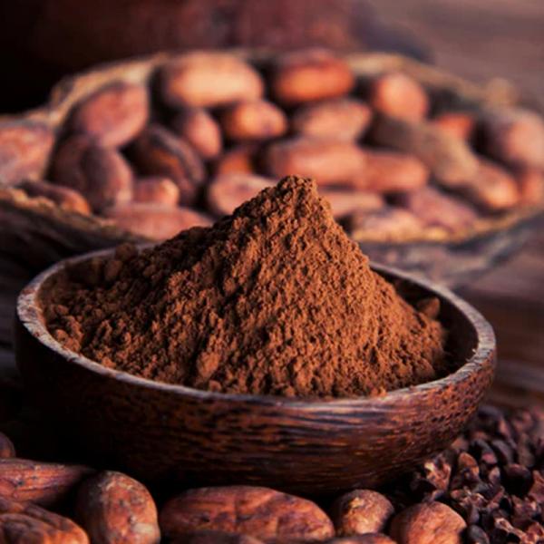  Cacao Bio De Madagascar Pour Industriels - café cacao thé propose une gamme compl&egrave;te de produits cacao bio issus de madagascar reconnus pour leur profil aromatique riche et leur qualit&eacute; premium. produits disponibles &agrave; l’export masse de cacao bio nibs de cacao bio poudre de cacao bio beurre de cacao bio &eacute;corces de cacao bio appr