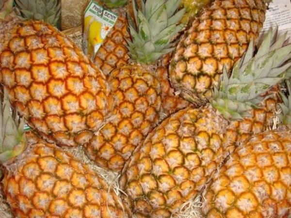  Ananas Pain Du Sucre - fruits et légumes nous disposons d'une quantit&eacute; illimit&eacute;e d'ananas pain du sucre du b&eacute;nin et sommes dispos&eacute;s &agrave; les exporter partout dans le monde 