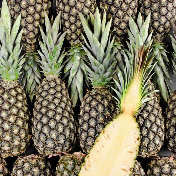  Ananas Légumes Et Du Miel - produits sucrés nous disposons d'une quantit&eacute; illimit&eacute;e d'ananas l&eacute;gumes et du miel au b&eacute;nin et nous sommes dispos&eacute;s &agrave; les exporter partout dans le monde