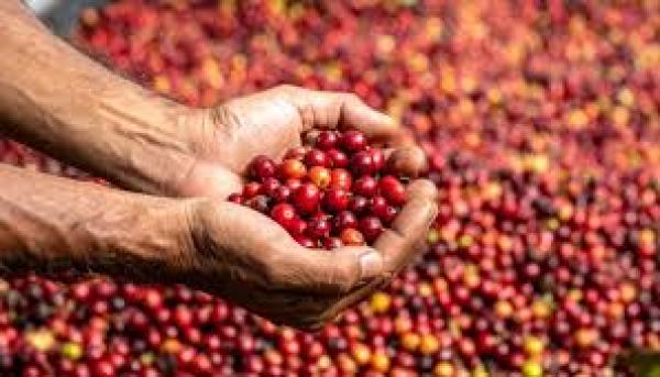  Investissement Dans Vos Projet Agricole - Investissement capitaux investisseur priv&eacute; j accompagne le financement de projets s&eacute;rieux et structur&eacute;s dans diff&eacute;rents secteurs d activit&eacute;. je m int&eacute;resse particuli&egrave;rement aux initiatives pr&eacute;sentant un potentiel r&eacute;el de d&eacute;veloppement avec un dossier