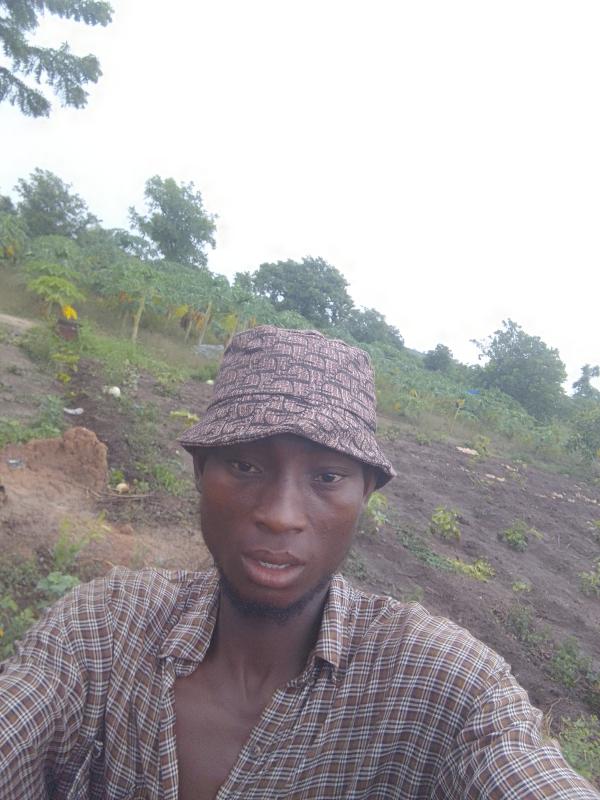  Recherche Partenaire Financier Pour Ferme Agr - autres recherche partenaire financier pour ferme agricole int&eacute;gr&eacute;e (papaye piment volailles et moutons) &agrave; parakou b&eacute;nin.