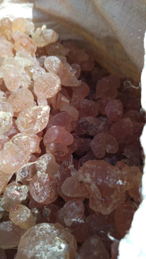  Gomme Arabique, Sésame Et Cacahuètes - autres  &agrave; tous. je suis propri&eacute;taire d'une soci&eacute;t&eacute; d'import export bas&eacute;e &agrave; n'djamena au tchad. je dispose de gomme arabique d'arachides et de s&eacute;same de premi&egrave;re qualit&eacute; prets &agrave; etre export&eacute;s et livr&eacute;s directement 