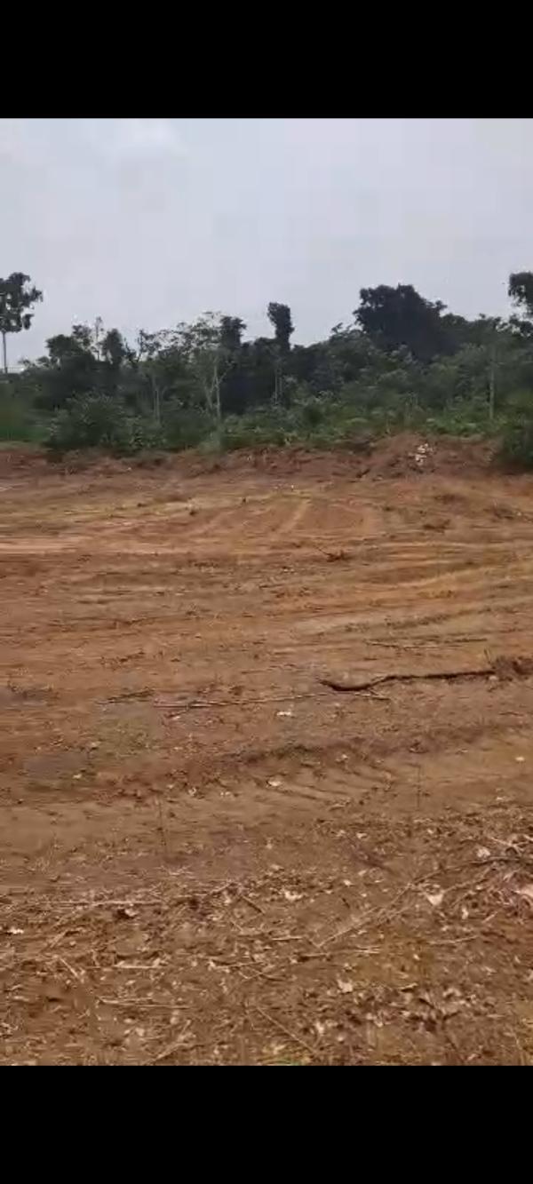  Parcelles De Terrain Et Biens Immobiliers - mine terrain concession terrain titr&eacute; au cameroun dans la ville baln&eacute;aire de kribi derri&egrave;re le site touristique des chutes de la lob&eacute; &agrave; 30 m de l'&eacute;cole publique de mbeka'a. terrain constructible pour habitation priv&eacute;e appartement meubl&eacute; et h&ocirc;tel 