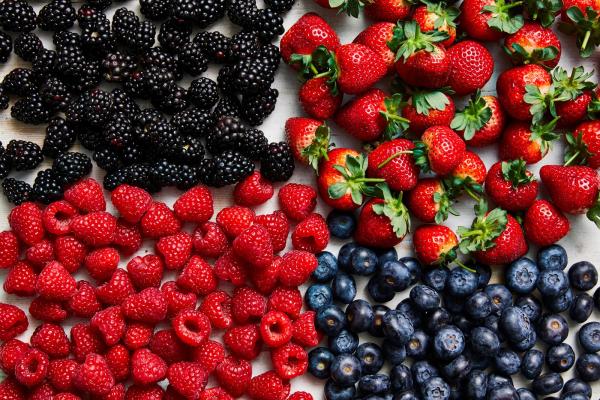  Fruits Rouges: Framboises, Myrtilles Et Mûres - fruits et légumes fruits rouges framboises myrtilles m&ucirc;res et framboises ( prochainement) fra&icirc;ches et cong&eacute;l&eacute;es disponibles et aux standards internationaux ( certifications globalgap grasp brc et smeta). exportation en europe afrique &eacute;tats unis canada moyen orient et as