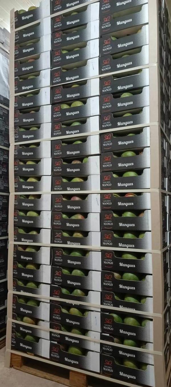  Fruits Et Legumes - fruits et légumes nous sommes une entreprise &eacute;mergeante au mali install&eacute;e dans la r&eacute;gion de sikasso et sp&eacute;cialis&eacute;e dans l’identification la collecte le conditionnement la vente et l’exportation des fruits et l&eacute;gumes de qualit&eacute;. en consid&eacute;rant les aspects li&