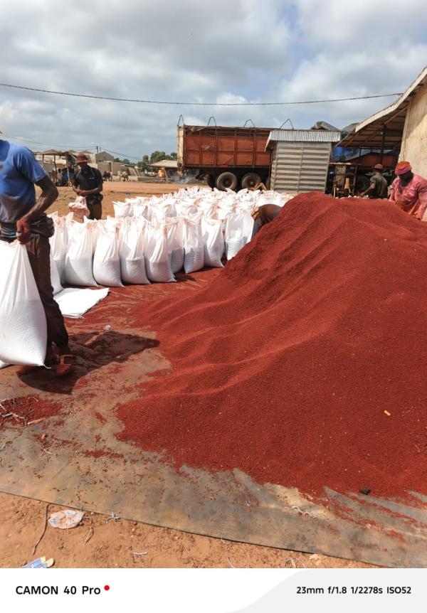  Roucou - épices aromates  nous disposons de 20 tonnes de roucou et de tr&egrave;s bonnes qualit&eacute;s disponibles maintenant. veuillez me contacter pour toute information compl&eacute;mentaire merci 