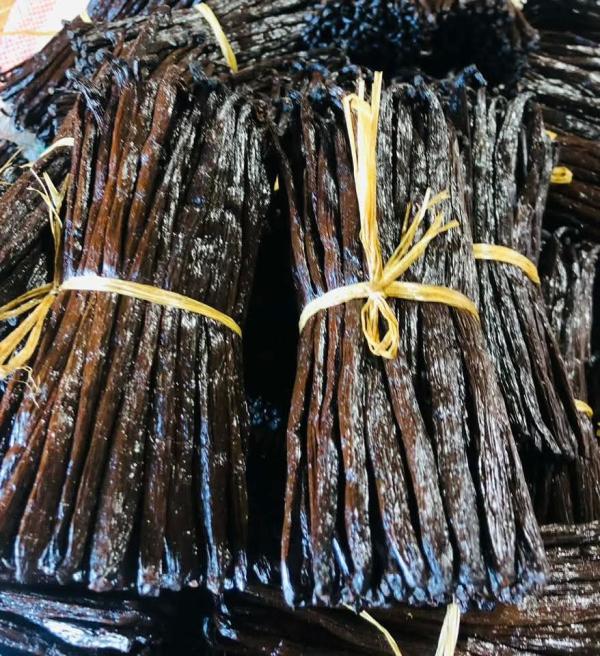  Vanille Bourbon De Madagascar Grade (gour - autres soci&eacute;t&eacute; exportatrice bas&eacute;e &agrave; madagascar nous proposons de la vanille bourbon (planifolia) de qualit&eacute; sup&eacute;rieure r&eacute;colt&eacute;e et pr&eacute;par&eacute;e selon les m&eacute;thodes traditionnelles de la r&eacute;gion sava. ​nous disposons actuelleme