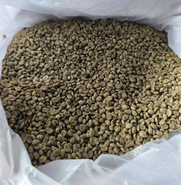  Café Arabica Et Robusta - fruits secs et graines grillées caf&eacute; arabica et robusta disponibles arabica cif monde entier torr&eacute;fi&eacute; 3 800 $/tonne lav&eacute; 3 300 $/tonne robusta cif monde entier torr&eacute;fi&eacute; 3 200 $/tonne lav&eacute; 2 800 $/tonne origine kenya afrique de l'est quantit&eac