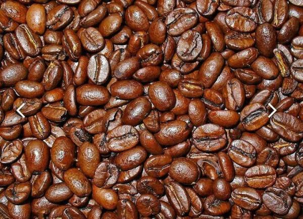  Recherche Café Kouillou Robusta Madagascar - café cacao thé soci&eacute;t&eacute; exportatrice recherche producteurs collecteurs ou coop&eacute;ratives disposant de caf&eacute; kouillou / robusta premium grade 1 ou qualit&eacute; &eacute;quivalente &agrave; madagascar. recherche s&eacute;rieuse pour besoin industriel export. merci de transmettre disponibi
