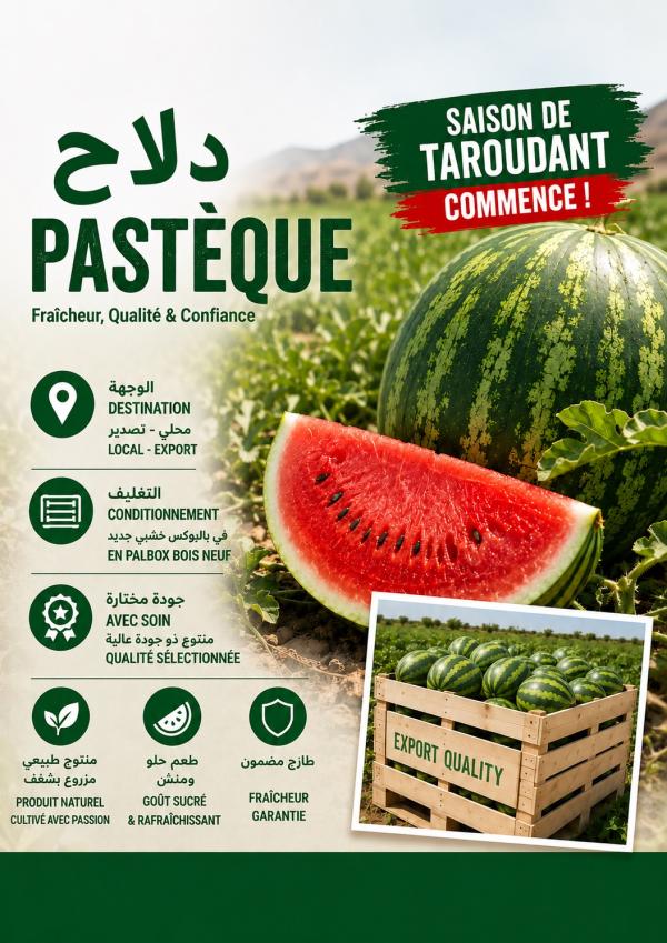  Pasteque - fruits et légumes  nous proposons des past&egrave;ques premium de taroudant – maroc reconnues pour leur qualit&eacute; export et tr&egrave;s demand&eacute;es en europe. d&eacute;but de saison dans 2 semaines ✔ grande disponibilit&eacute; ✔ qualit&eacute; export contr&ocirc;l&eacute;e ✔ conditionnement