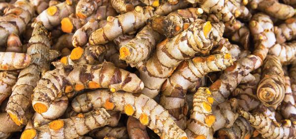  Curcuma - épices aromates je suis un jeune haïtien d&eacute;vou&eacute; chez moi nous des tonnes de curcuma sauvage inutilis&eacute;s j'aimerais les revendre par sac