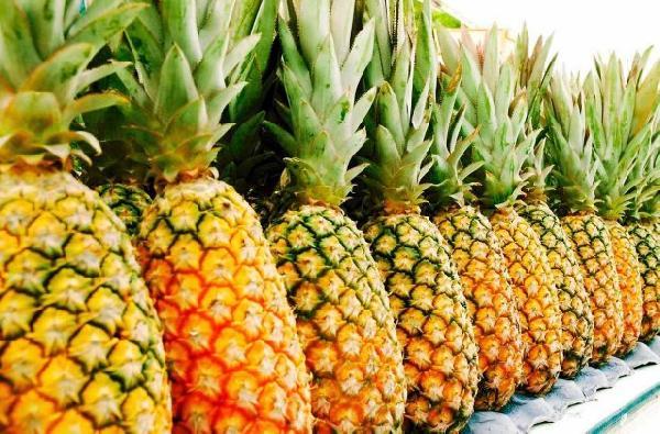  Ananas Banane Orange Citron Mangue Canne Su - fruits et légumes nous disposons de divers fruits de quantit&eacute; illimit&eacute;e que nous pouvons livrer partout dans le monde 