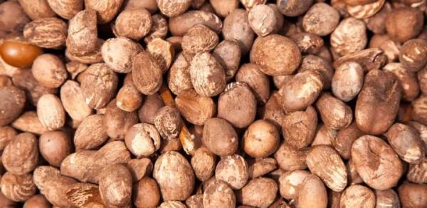  Produits Tropicaux Bénin - fruits secs et graines grillées *business karit&eacute; simulation sur 10 tonnes* *1. calcul brut* achat de 10 tonnes &agrave; 150 fcfa/kg 10 000 kg × 150 = 1 500 000 fcfa revente &agrave; 200 fcfa/kg 10 000 kg × 200 = 2 000 000 fcfa b&eacute;n&eacute;fice brut 2 000 000 1 500 000 = *500 000 fcfa* &ccedil;