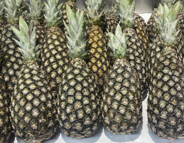  Ananas Pain De Sucre - fruits et légumes soci&eacute;t&eacute; fran&ccedil;aise sp&eacute;cialis&eacute;e dans l'export de fruits tropicaux premium d'afrique de l'ouest propose &agrave; la vente de l'ananas pain de sucre du b&eacute;nin (igp) disponible toute l'ann&eacute;e par voie a&eacute;rienne le produit vari&eacute;t&eacute; pa