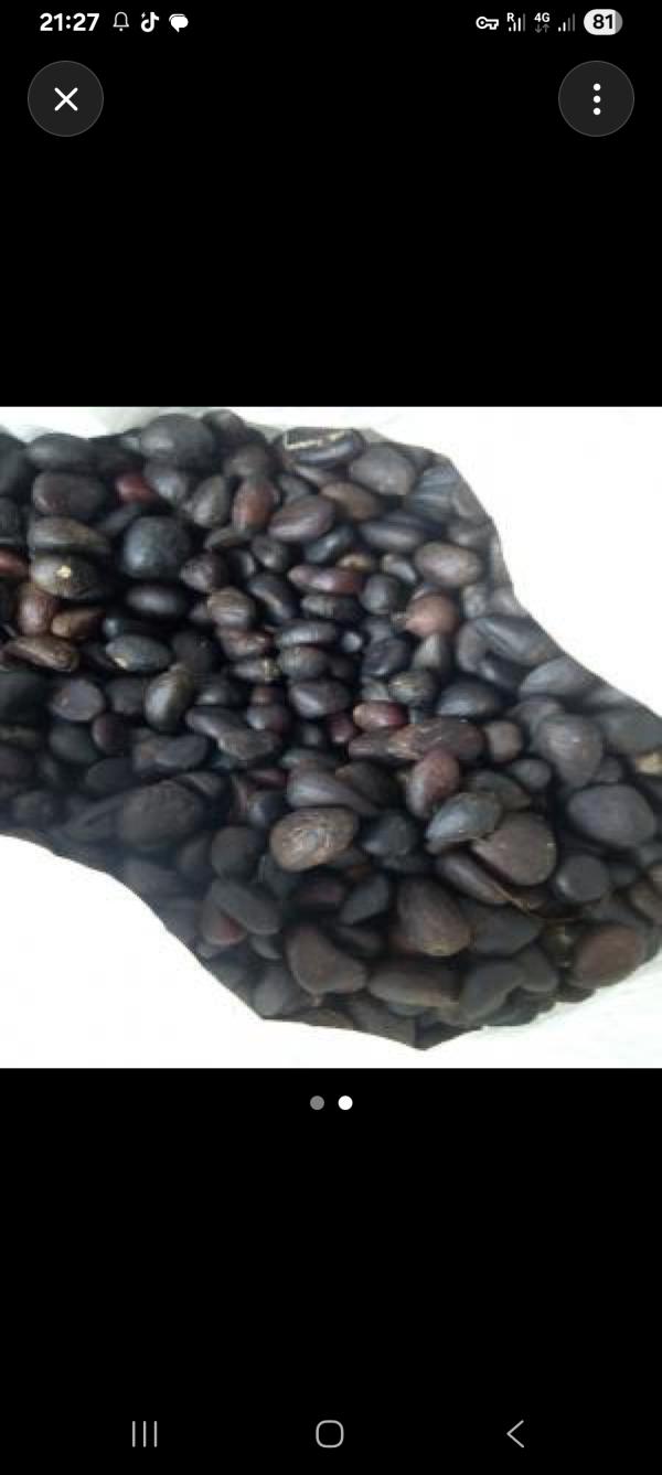  Amandes Palmiste - semence graine plant je recherche des fournisseurs d’amandes palmistes au togo . je souhaite acheter des amandes palmistes de toute qualit&eacute; pour transformation ou revente. quantit&eacute; recherch&eacute; entre une et trois tonnes chaque semaine. merci de me contacter avec les prix.
