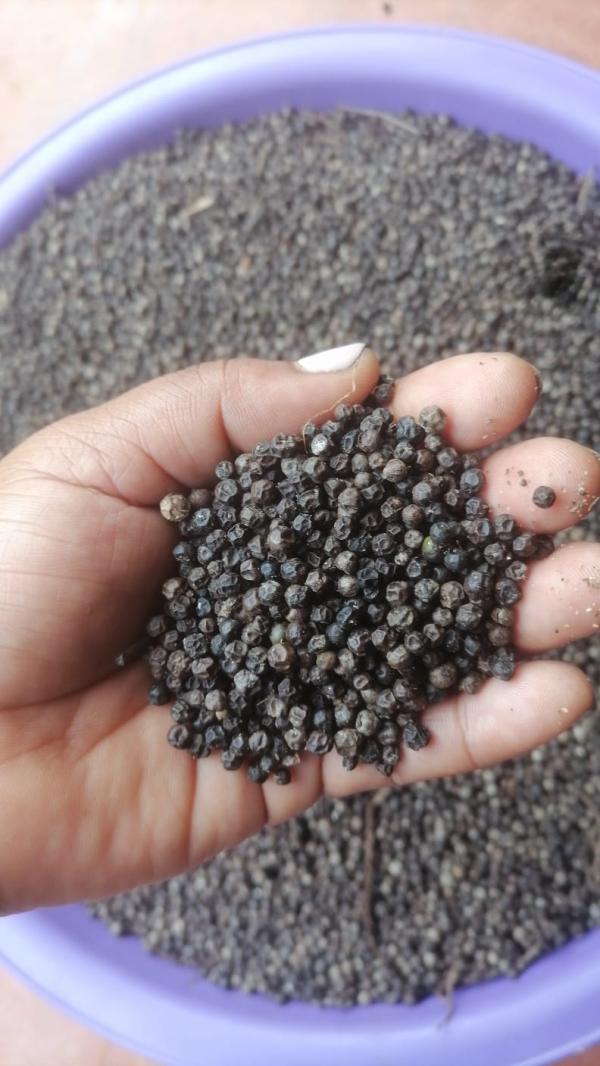  Poivre Noire, Girofle, Essence Girofle - épices aromates nous sommes une petite soci&eacute;t&eacute; familiale s'ouvrant au monde et cherchant un partenariat pour exporter nos produits locaux comme girofle essence de girofle cannelle piment poivre noire. 