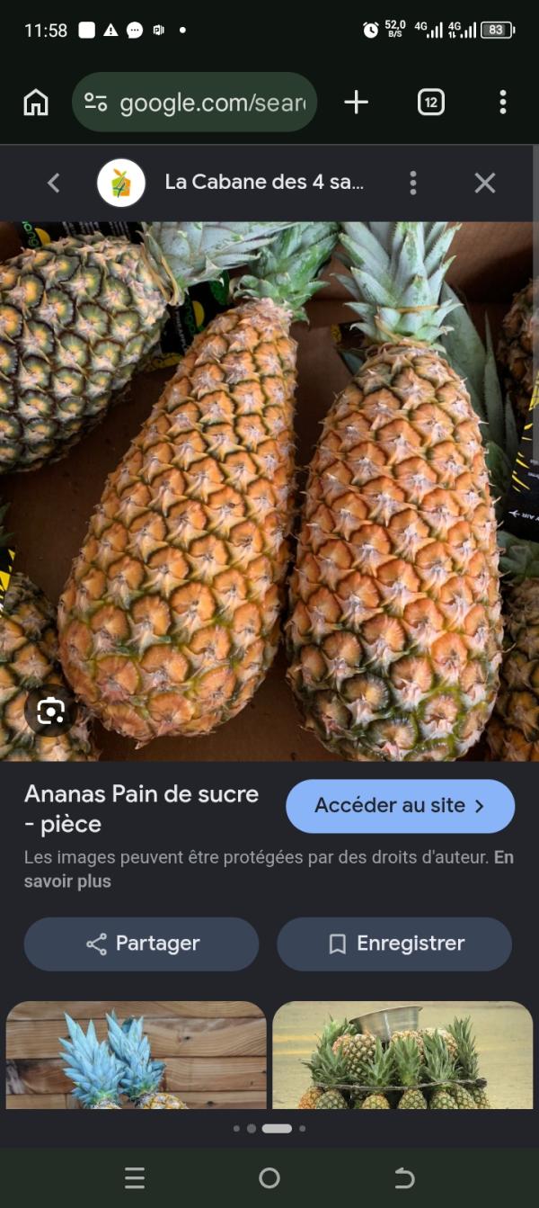  Ananas - fruits et légumes nous disposons au b&eacute;nin des quantit&eacute;s illimit&eacute;s d'ananas pain de sucre. nous sommes dispos&eacute;s &agrave; en vendre partout où besoin se fera dans le monde entier. nos pris d&eacute;fient toutes concurrence. 