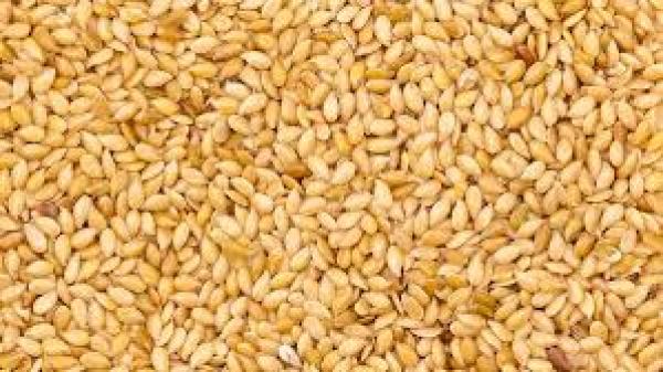  Agri Fruits Et Legumes - fruits secs et graines grillées nous sommes une entreprise &eacute;mergeante au mali install&eacute;e dans la r&eacute;gion de sikasso et sp&eacute;cialis&eacute;e dans l identification la collecte le conditionnement la vente et l exportation des fruits et l&eacute;gumes de qualit&eacute;. en consid&eacute;rant les aspects