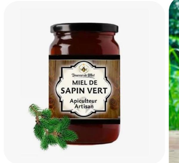  Miel De Sapin - produits sucrés bonsoir ! j'ai de nouveau &agrave; ma disposition du miel de sapin dont 500g/ pot &agrave; 9€ tr&egrave;s sucr&eacute; et 100% naturel 