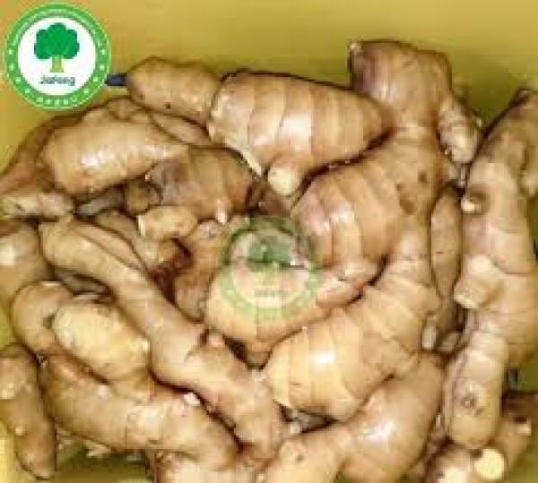  Gingembre Frais - autres arrivage de gingembre frais ne manquez pas cette opportunit&eacute; ! gingembre jaune et blanc de qualit&eacute; premium stock disponible 2 tonnes seulement 2 500 fcfa/kg livraison rapide &agrave; abidjan id&eacute;al pour ✔ fabrication de jus ✔ restaurants ✔ revendeurs ✔ transformation agroalimenta