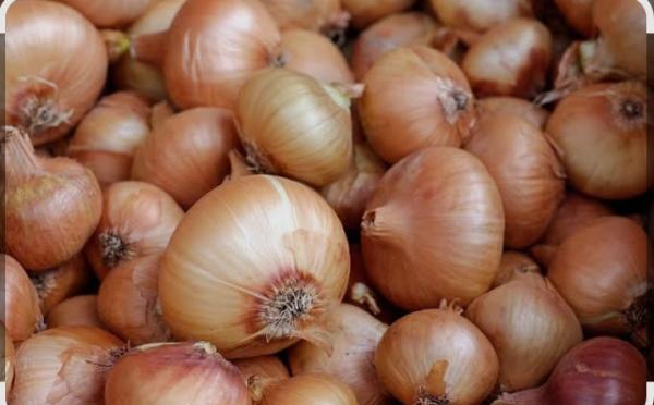  Oignons Du Niger - fruits et légumes nous proposons des oignons de premi&egrave;re qualit&eacute; &agrave; des prix comp&eacute;titifs. les quantit&eacute;s sont disponibles selon vos besoins allant de quelques tonnes &agrave; des volumes plus importants. nous assurons la livraison jusqu'&agrave; cotonou. n'h&eacute;sitez pas &agrave;