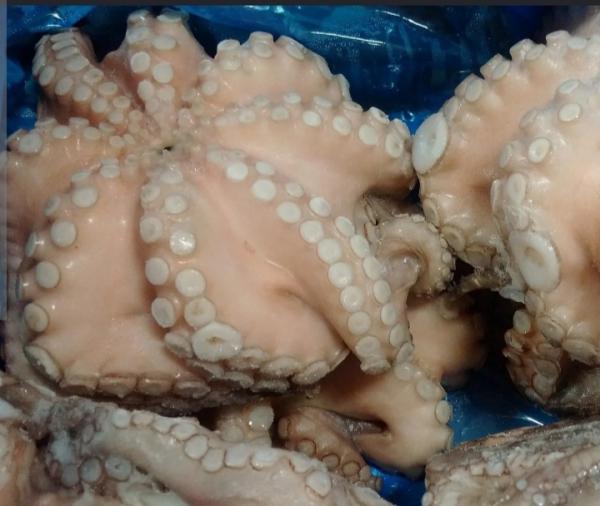  Poulpe Congelé - poissons  nous disposons d'un tonne de poulpe congel&eacute; calibre t3 t4 t5 t6 pret &agrave; l'export cordialement 